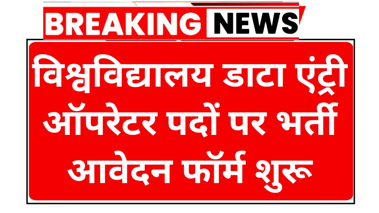 University Data Entry